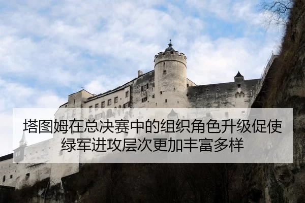 塔图姆在总决赛中的组织角色升级促使绿军进攻层次更加丰富多样