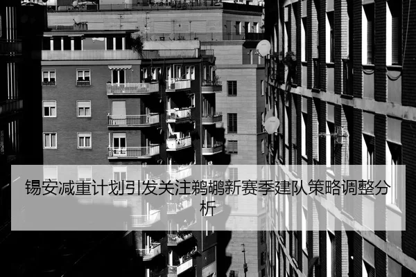 锡安减重计划引发关注鹈鹕新赛季建队策略调整分析